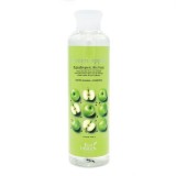 Тонер с ферментами яблока Eco Branch Green Apple Hypoallergenic Skin Toner 250 мл